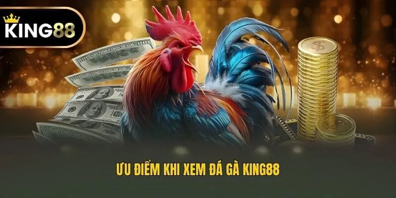 Ưu điểm khi xem đá gà King88
